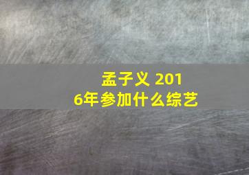 孟子义 2016年参加什么综艺